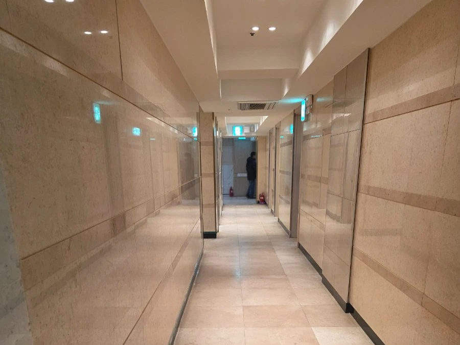 강남 플러팅 복도