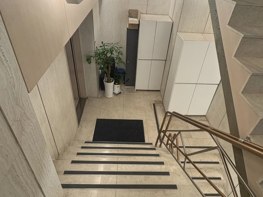 강남 비비드 계단