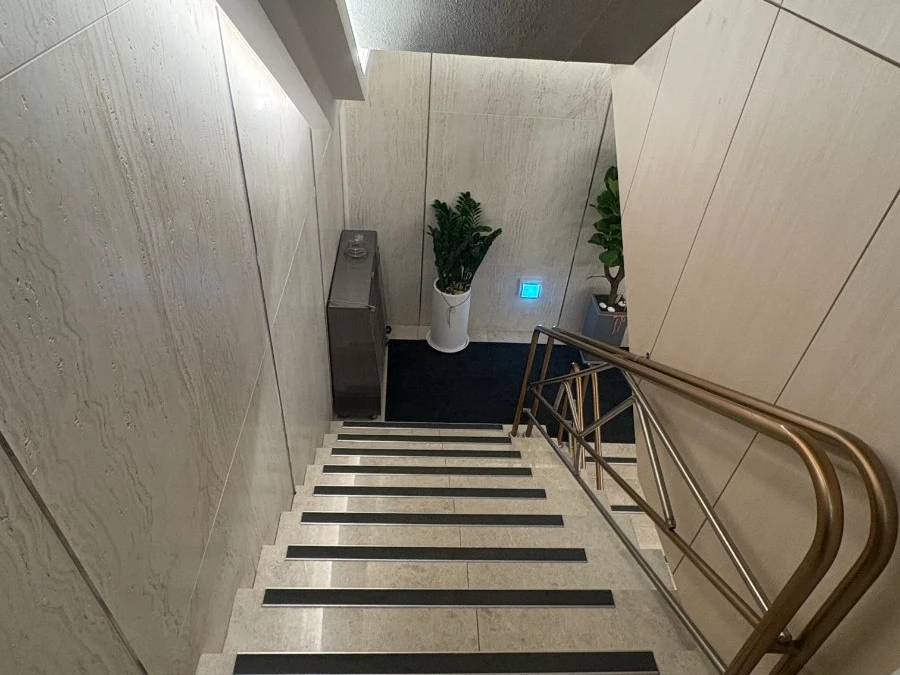 강남 비비드 계단